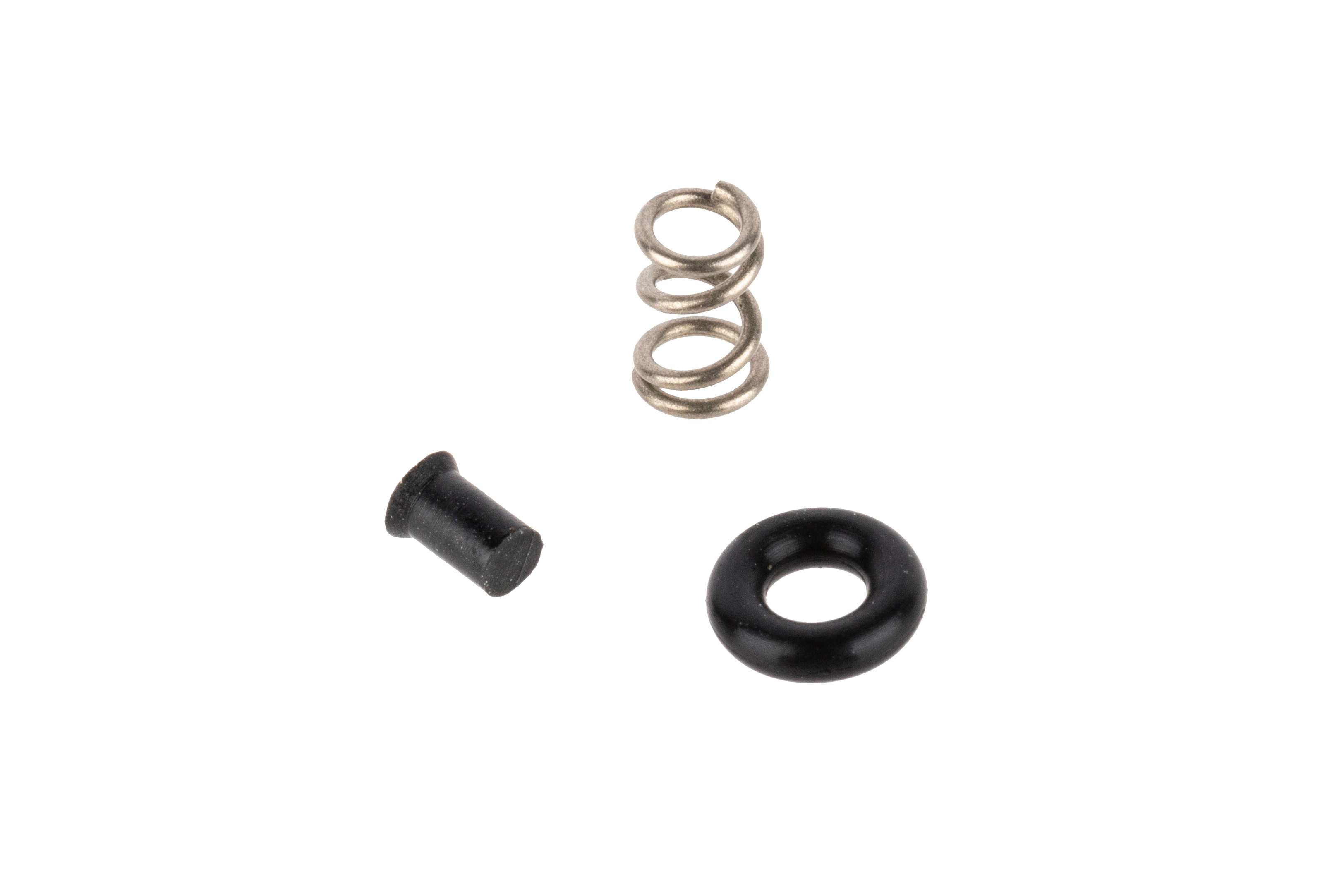 BCM-EXSPRING-1